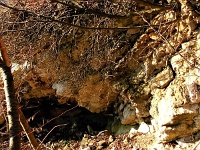 Östlicher Langenberg bei Bad Harzburg